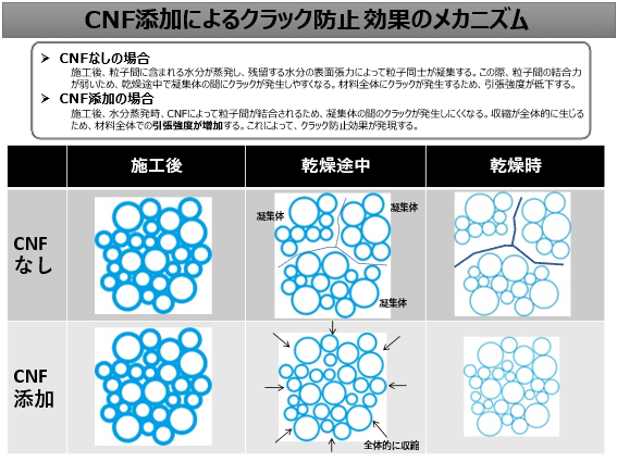 CNF添加によるクラック防止効果のメカニズム